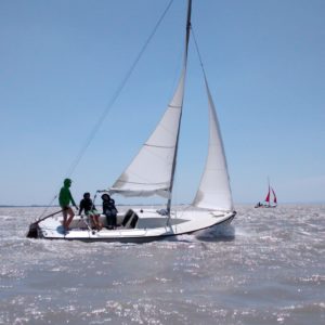 IMG_20140704_131045446